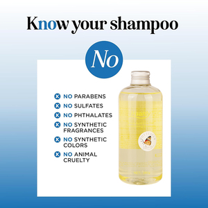 Shampooing revitalisant et volumisant aux acides aminés Haardy pour cheveux fins, pour femmes et hommes - Nettoyage en profondeur et hydratation - Sans sulfate - Product Image 4