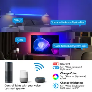 Tuya Lampu Setrip LED RGB, Lampu Belakang TV 5M/10M, Lampu Setrip Musik 5M/10M, Lampu Setrip LED RGB Inggris/AS/EU/AU, Kerja dari Pabrik dengan Alexa/Google Home