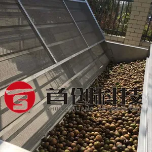 Shouchuang Oem Odm Grote Capaciteit Continue Camellia Fruit Thee Pruim Fruit Zaden Transportband Gaas Droger Machine