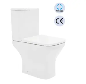 Ce认证美国专业制造低流量现代浴室卫生间双冲水静音两件式浴室卫生间