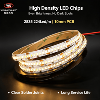 Bande LED flexible haute luminosité DC24V 224LEDs/m SMD2835, température de couleur 3000K-6000K, éclairage paysager à corps en cuivre.
