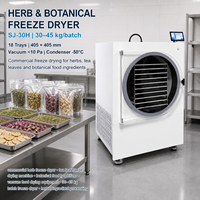 Machine de lyophilisation de confiseries SJ-35H, capacité de 35-52 kg par lot, pour la production de bonbons gélifiés aux fruits et la transformation d'ingrédients de desserts