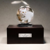 Urne funéraire rectangulaire de luxe moderne pour animaux de compagnie avec cristal de bois de santal et photo commémorative pour chiens et chats