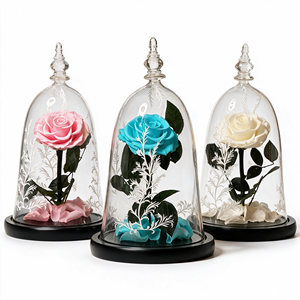 La <span class=keywords><strong>Bella</strong></span> <span class=keywords><strong>y</strong></span> la <span class=keywords><strong>Bestia</strong></span>, <span class=keywords><strong>Rosa</strong></span> Preservada en Cúpula de Cristal, <span class=keywords><strong>Rosa</strong></span> Eterna en Campana de Cristal para San Valentín, Aniversario, Decoración del Hogar, Regalo, Venta al por Mayor - Product Image 1