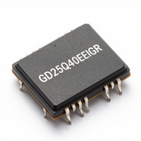 Bellek GD25Q40EEIGR 8 XFDFN Açık Pedli Bellek Bileşenleri Elektronik Orijinal