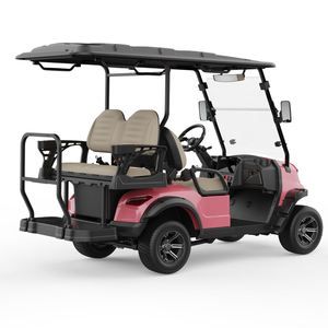 Voiturette de golf tout-terrain avec espace de rangement, véhicule multi-usages pour passagers, personnalisable avec logo pour le marketing - Product Image 5
