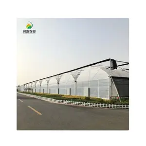 Commercial Agriculture Film Greenhouse Growing Strawberry With Hydroponic System Multi-Span Greenhouses