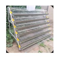 Cage d'élevage automatique à caille de grande capacité, 800 diodes, couche d'élevage des œufs, à vendre, livraison gratuite
