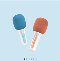 Microphone K-Song Lite 10 Effets Audio Amusants, Puce DSP Professionnelle, Autonomie Ultra-Longue, Serrure de Porte Intelligente, Articles Ménagers Intelligents