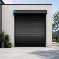 Porte de garage à enroulement en acier sur mesure Goldway, électrique, étanche, résistante au vent, garantie de 2 ans