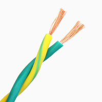 Câbles électriques en cuivre à 2 conducteurs, paire torsadée RVS, câble flexible isolé en PVC, 0,5-6 mm, utilisation pour alarme/résistance au feu, construction