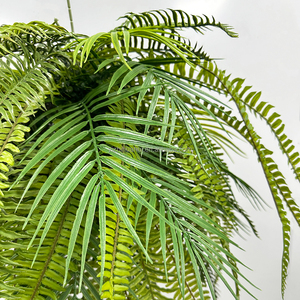 Gran oferta <span class=keywords><strong>de</strong></span> plástico verde plantas tropicales Boston helecho espada helecho cesta colgante para decoración <span class=keywords><strong>de</strong></span> boda - Product Image 6