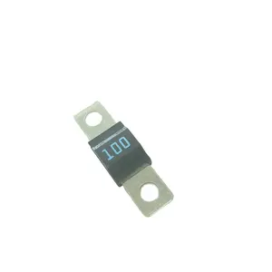 AUTO FUSE Auto fuse 0498100.M-CN 100A