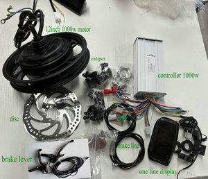 12inch BLDC động cơ 36v48v60v1000w + điều khiển + Hiển thị + Đĩa brakke nhóm + phanh đòn bẩy + ga + Ánh sáng lắp ráp Ebike cài đặt Kit - Product Image 2