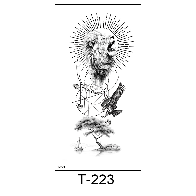 T-223