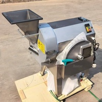 Fabrieksleverancier van groentesnijders en -dubbele snijmachines voor aardappelen, uien, wortelen, zoete aardappelen, knoflook en het maken van blokjes.