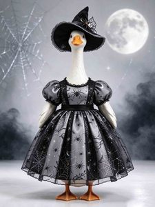 Déguisement de Halloween pour oie de porche, plusieurs styles, ensemble sorcière, pour extérieur, jardin, pelouse, décoration de statue d'oie de porche de 23 pouces - Product Image 1
