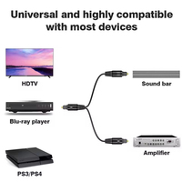 Xput Répartiteur Audio Optique Numérique Plaqué Or 1 en 2 Câble Optique Audio Connecteurs Toslink Câble Amplificateur de Puissance