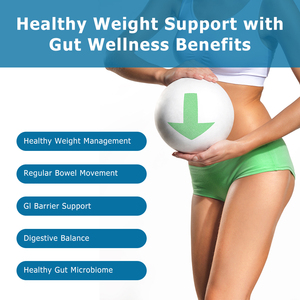 Factory Direct Slimming Capsules with Akkermansia Probiotic Prebiotic <b>Blend</b> Support Digestive Health Balance Gut Flora Capsules - Product Image 2