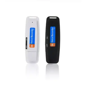 Gratis Verzending Mini Digital Audio Voice Recorder Pen Dictafoon USB Flash Drive U-Disk