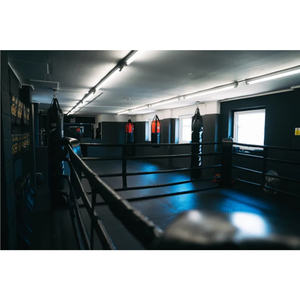 Mesure de précision 600 ㎡ Ailes de boxe personnalisées de la liberté - Product Image 1
