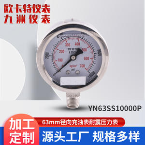 Manómetro de Presión de Acero Inoxidable Resistente a Impactos, Lleno de Aceite, de 63 mm, Manómetro de Alta Presión de Aire hasta 4500 psi - Product Image 4