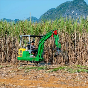 Excavadora con Garra para Caña de Azúcar, Equipo Agrícola, Cargador de Caña de Azúcar con Pinza Hidráulica - Product Image 5