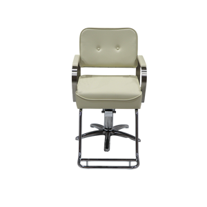 [ECCLIM]DANIEL (2) EC-003 ห้องซาลอนในฝันของคุณ ดีไซน์คลาสสิก ใช้งานได้ทุกฤดู น้ำหนักเบา ไร้ความเครียด ดีที่สุด - Product Image 1