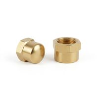 Bouchon de tuyau hexagonal femelle NPT en laiton, capuchon d'extrémité fileté NPT femelle pour l'étanchéité des conduites pneumatiques, d'eau, de gaz et d'huile