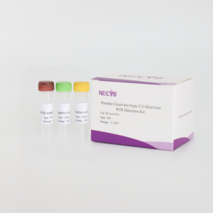 <span class=keywords><strong>PCV2</strong></span>/PCV3 Dual Fluorescent PCR <span class=keywords><strong>Kit</strong></span> - 50 T/Box Vet <span class=keywords><strong>Diagnostic</strong></span> Réactifs ISO Certifié - Product Image 1
