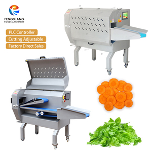 Máquina Cortadora de Vegetales FTS-170, Máquina Automática para Cortar Vegetales con Controlador PLC y Correa Antideslizante, Tamaño de Corte de 1-60 mm - Product Image 1