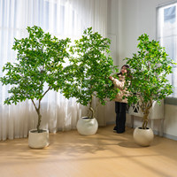 Grand arbre artificiel de Pieris Japonica, tronc en bois veiné avec feuillage luxuriant dans un pot robuste, décoration commerciale de style nordique