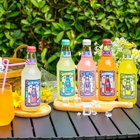Boissons exotiques Huayang 1982, soda aux fruits, soda gazeux, boissons gazeuses en verre, 363 ml