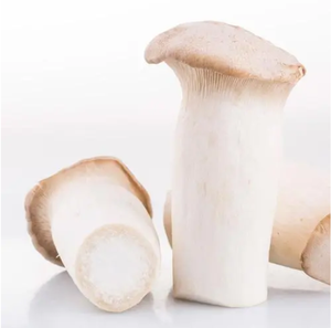 GMP-091 kral trompet özü Beta glucan 30% Pleurotus Eryngii özü - Product Image 2
