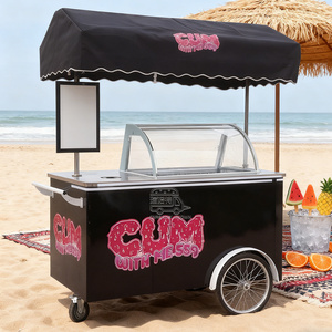 Triciclo para Helados, Portátil, para Helados Italianos, Carrito de Empuje Manual - Product Image 4