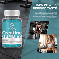 Tiora Chine : Gummies de créatine 3000mg pour la croissance musculaire, supplément énergétique sportif pré-entraînement, directement de l'usine, personnalisables