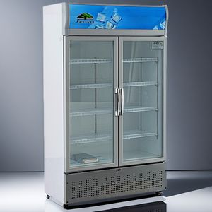 Réfrigérateur commercial à double porte pour boissons avec refroidissement par air, design fin, construction en acier - Product Image 4