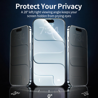 Protection d'écran 2.5D en verre trempé anti-espion sans bordure HD transparente 9H pour iPhone 12 13 14 15 16 17 18 Pro Max avec kit d'installation