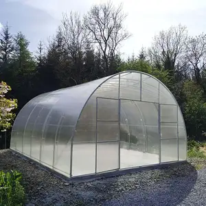 Koepel Solar Polycarbonaat Passieve Zonne-Energie Versterkte Kunststof Tuin Tunnel Kas Te Koop