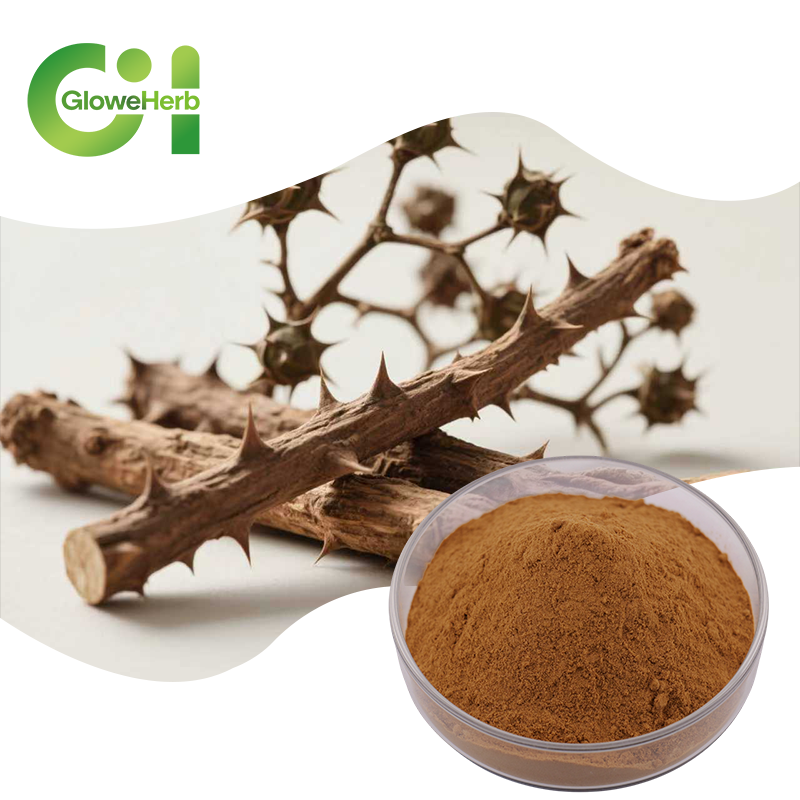 Factory supply1.5% Eleutheroside Acanthopanax Senticosus Extract Premium Plant Extract From Eleutherococcus Senticosus