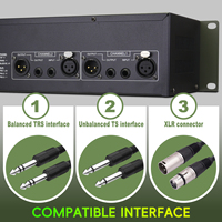Égaliseur audio professionnel 231, double canal, 31 bandes, montage en rack, tuner sonore pour lieux de spectacle, scène de karaoké en direct