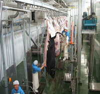 Tente nouvelle machine d'abattage de vaches pour plantes musulmanes dépecant chevaux/ânes/chameaux décachant les composants de boîte de vitesses-pour mouton poulet cochon
