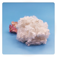 China Supplie Virgin High Quality Hot Sale Stable Fiber for Textile Industry Regenerated Hollow Conjugated 10 Holes Fiber