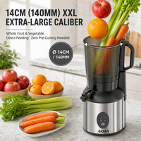 Extracteur de jus lent OEM ODM à écran tactile, moteur DC 250W entièrement en cuivre, 60 tr/min, faible bruit, corps en acier inoxydable, goulotte de 14 cm, facile à nettoyer