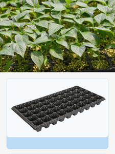 Hot-Bán Vườn Nguồn Cung Cấp Cây Giống Chậu Hạt Giống Khay Vườn Ươm Khay Sâu Thủy Canh Nhựa Miễn Phí Mẫu Mới Màu Đen 200 Tế Bào - Product Image 4