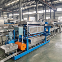 Machine de fabrication de barquettes à œufs en bagasse et sciure de bois, matière première recyclable, protection de l'environnement