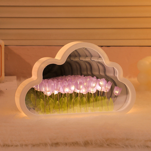 Kit Cadeau DIY Veilleuse Tulipe Moderne Multicolore à Brancher avec Miroir LED pour Décoration de Table et Salon - Product Image 4