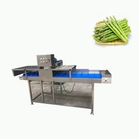 Machine à éplucher les poireaux et les ciboules à air comprimé de qualité supérieure, prête à l'exportation