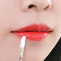 Brosse à lèvres jetable en cristal portable, outil de maquillage multi-couleurs pour gloss à lèvres, outil de beauté en gros pour rouge à lèvres et soins capillaires