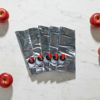 Pochette intérieure stérile sans BPA recyclable 5L pour distributeur de vodka, bière, champagne et jus avec échelle graduée précise